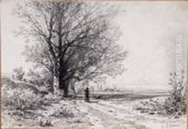 Paysages - view 1