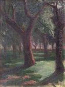 Parque by Carlos Alberto Castellanos