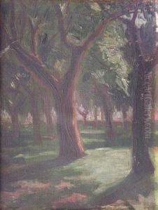 Bosque by Carlos Alberto Castellanos
