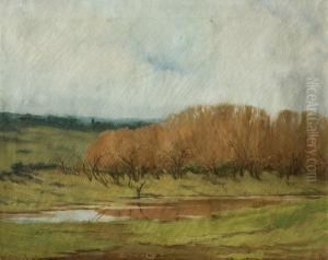 Paisaje De Campo by Roberto Castellanos Mane