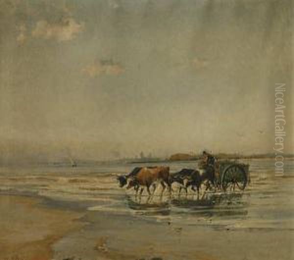 Carreta De Pescador - view 1