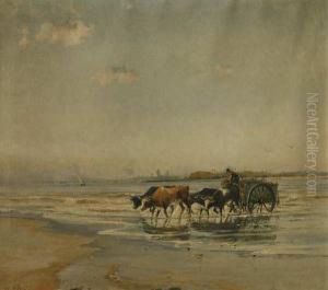 Carreta De Pescador by Roberto Castellanos Mane