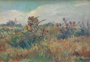 Paisaje Con Cardos