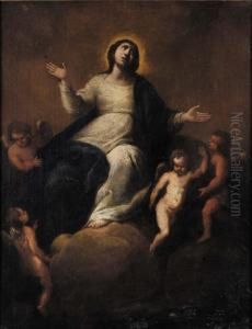 Assunzione Della Vergine by Valerio Castello