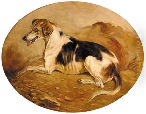 A dog in a landscape A dog in a landscape