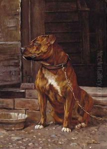 A Staffordshire bull terrier