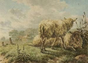 Schafe Auf Der Weide by Jacob Cats