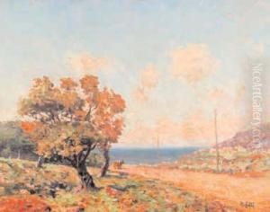 Costa Nei Dintorni Di Palermo by Michele Catti