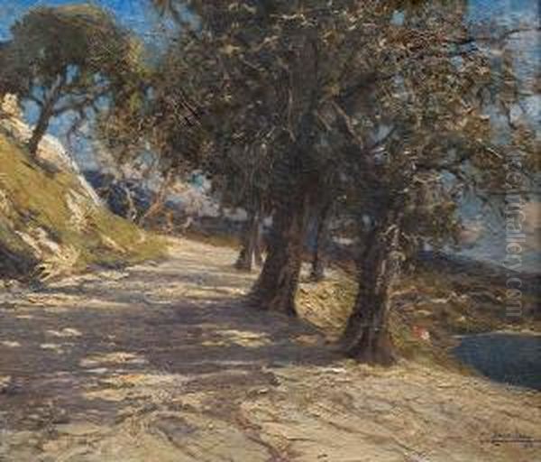 Camino - view 1