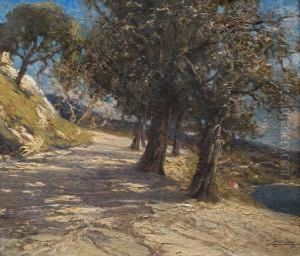 Camino by Ludovico Cavaleri