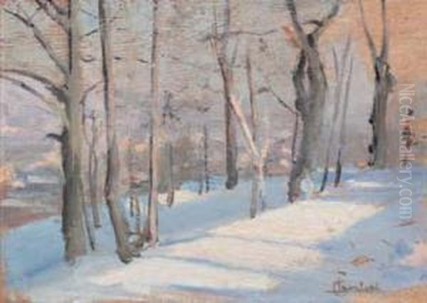 Paesaggio Invernale - view 1