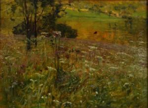 "il Lago Di Ghirla" 1909 "il Lago Di Ghirla" 1909