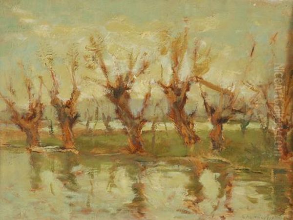 "paesaggio Lacustre Con Alberi" 
Olio Su Compensato Firmato In Basso A Destra, Etichette E Scritte Al 
Retro - view 1
