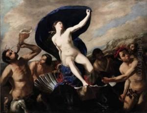 Galatea Galatea