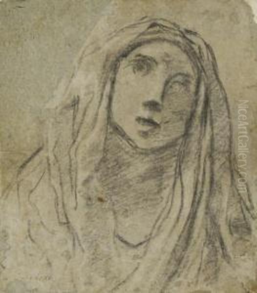 Tete De La Vierge - view 1