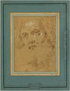 Head Of A Bearded Old Man by Giacomo Cavedone