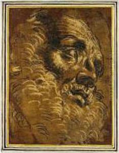 The Head Of A Bearded Man The Head Of A Bearded Man