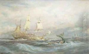 Colonial Whaler 'Fame'