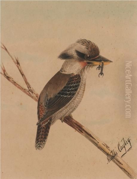 Kookaburra And Kingfisher - view 1