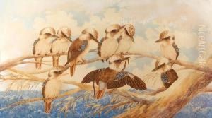 Kookaburras by Neville, Will. Cayley Jnr.