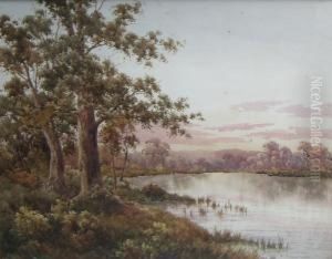 Wetlands by Neville, Will. Cayley Jnr.
