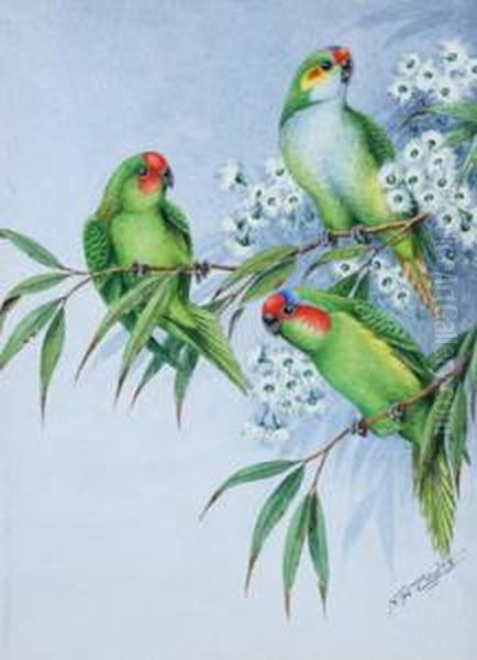 Three Lorikeets - view 1