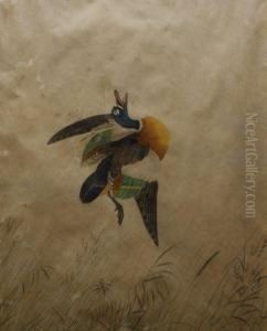 Shot Duck by Neville Henry Peniston Cayley