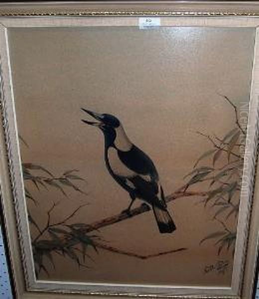 Magpie - view 1
