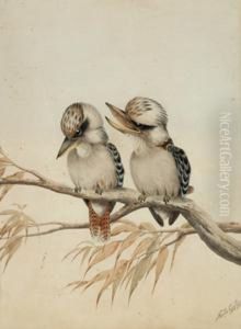Snr Two Kookaburras by Neville Henry Peniston Cayley