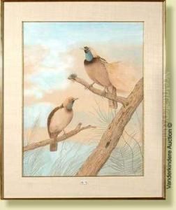 Deuxoiseaux Exotiques Sur Une
Branche, Aquarelle Sur Papier. Signee Enbas A Droite Neville Cayley.
Ecole Australienne. Dim.: 64x50cm by Neville Henry Peniston Cayley