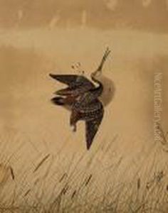 Snipe by Neville Henry Peniston Cayley