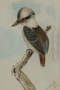 A Kookaburra; A Laughing Jackass, A Pair by Neville Henry Peniston Cayley