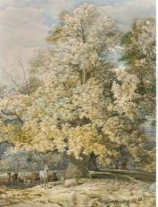 Deer grazing under a tree in a parkland landscape by Richard Beavis
