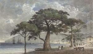Port Scene In The West Indies (possibly Kingstown, St Vincent) by Michel Jean Cazabon
