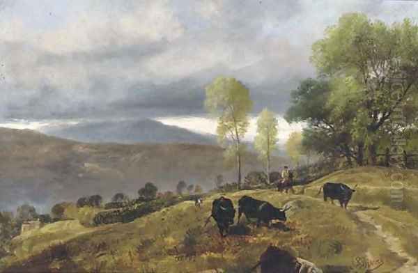 On the hills - view 1