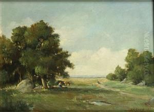 Paysage
