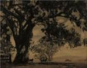 Gum Tree And Sheep by Harold Pierce Cazneaux