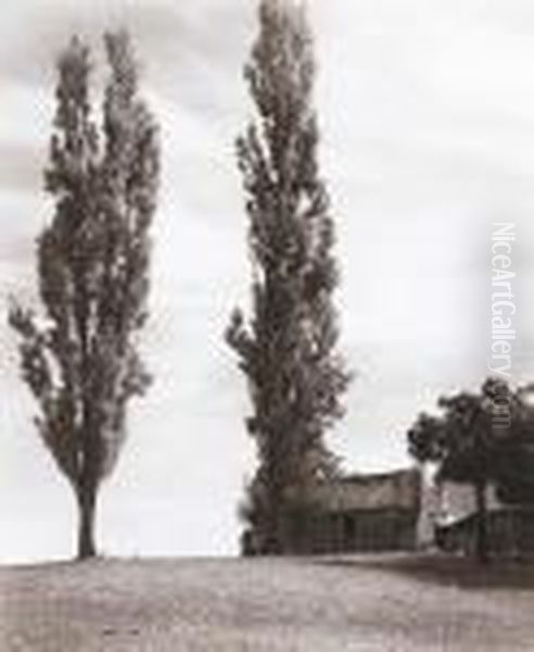 Old Farmhouse, Windsor - view 1