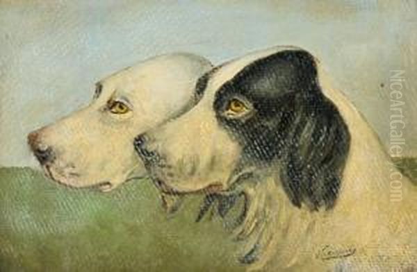 Cani - view 1