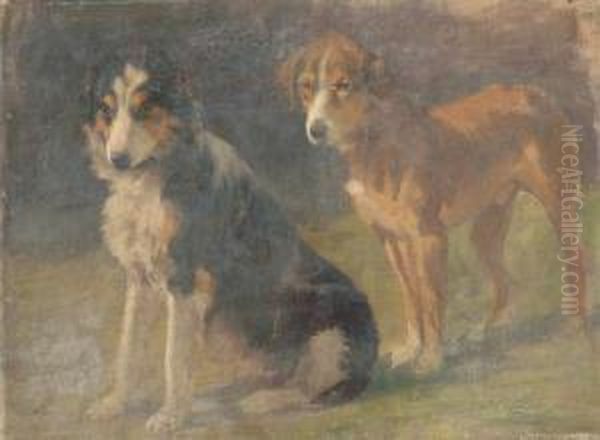 Coppia Di Cani - view 1