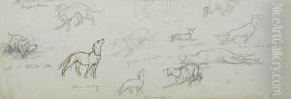 Studio Di Cani - view 1