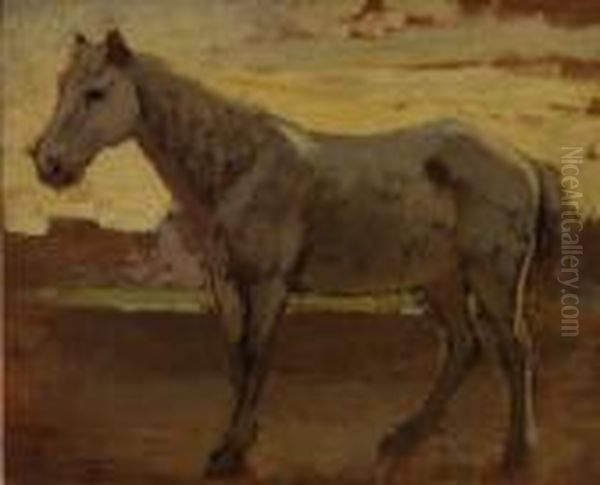Cavallo - view 1