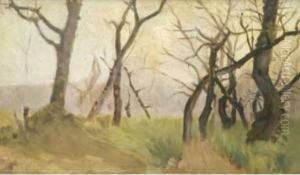 Paesaggio Invernale. Alberi Spogli by Eugenio Cecconi