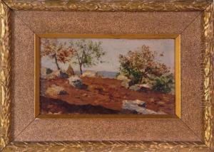 Paesaggio Di Campagna Con Covoni Di Fieno