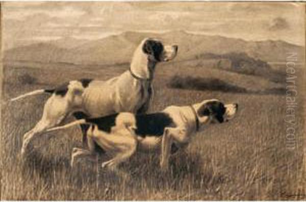 Cani Da Caccia - view 1