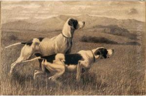 Cani Da Caccia