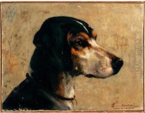 Testa Di Cane Da Caccia