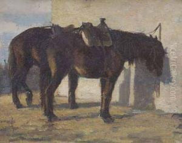 Cavallo - view 1