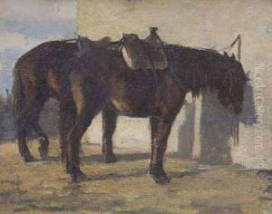 Cavallo by Eugenio Cecconi