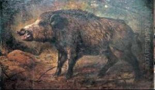 Il Cinghiale - view 1